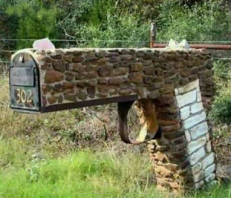 Gewoon een verzameling hilarische foto's #1782