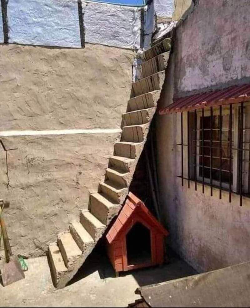 Gewoon een verzameling hilarische foto's #1782