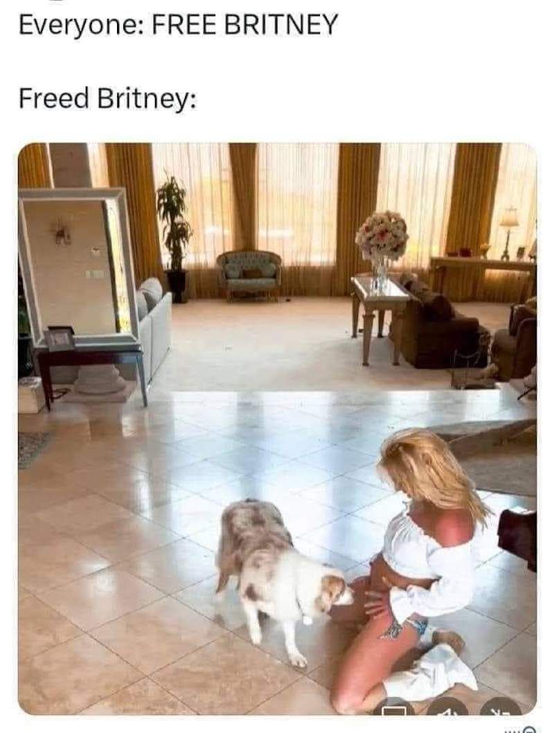 Gewoon een verzameling hilarische foto's #1782