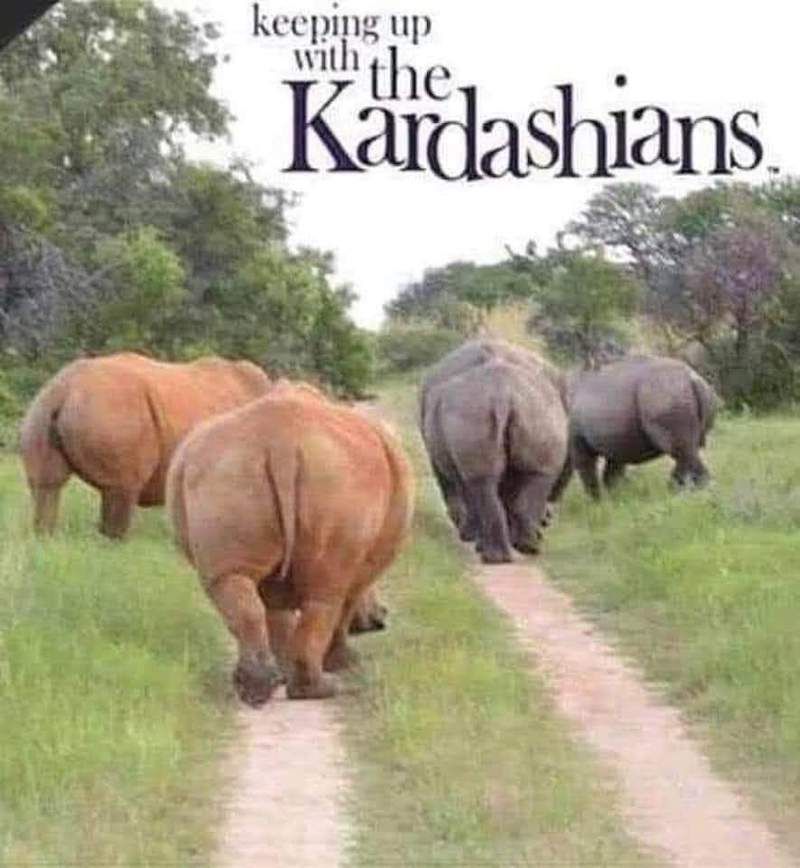 Gewoon een verzameling hilarische foto's #1782