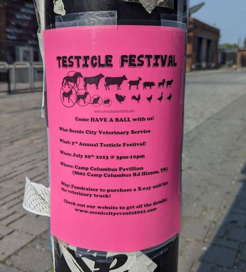 Gewoon een verzameling hilarische foto's #1782