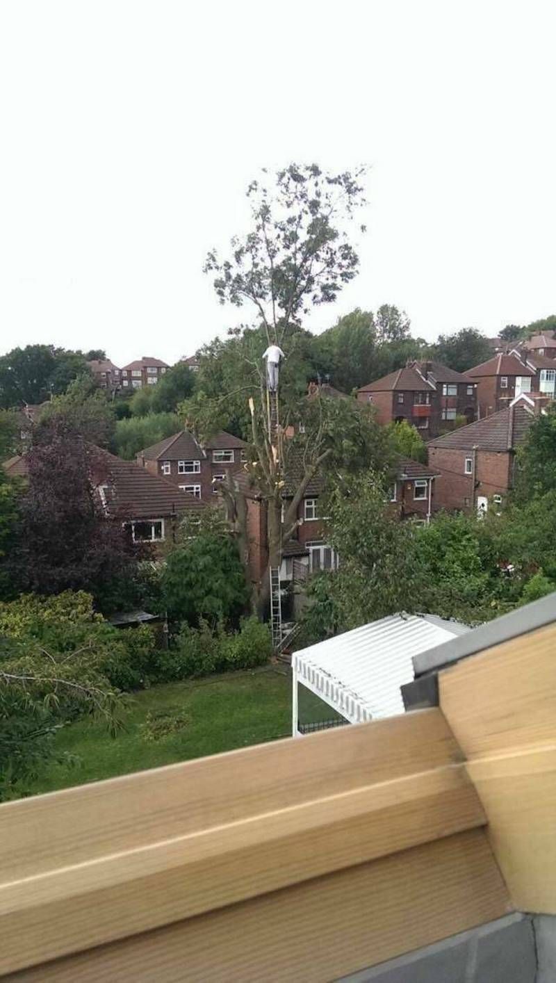 Gewoon een verzameling hilarische foto's #1782