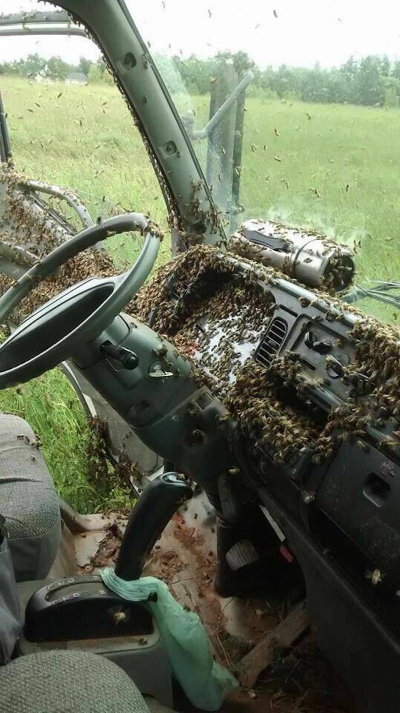 Gewoon een verzameling hilarische foto's #1782