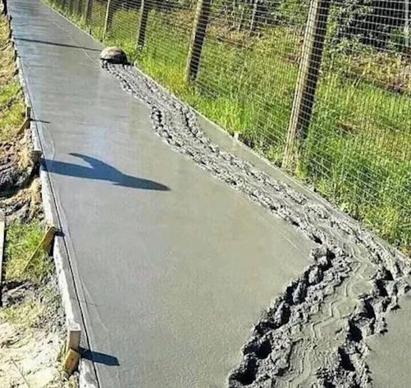Gewoon een verzameling hilarische foto's #1783