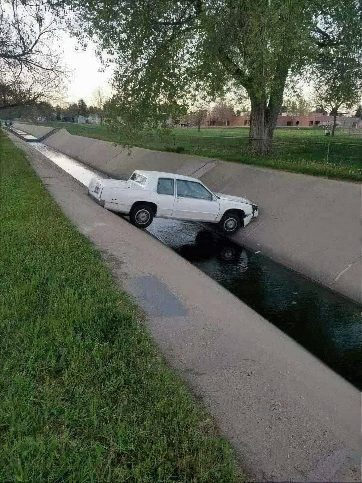 Gewoon een verzameling hilarische foto's #1777