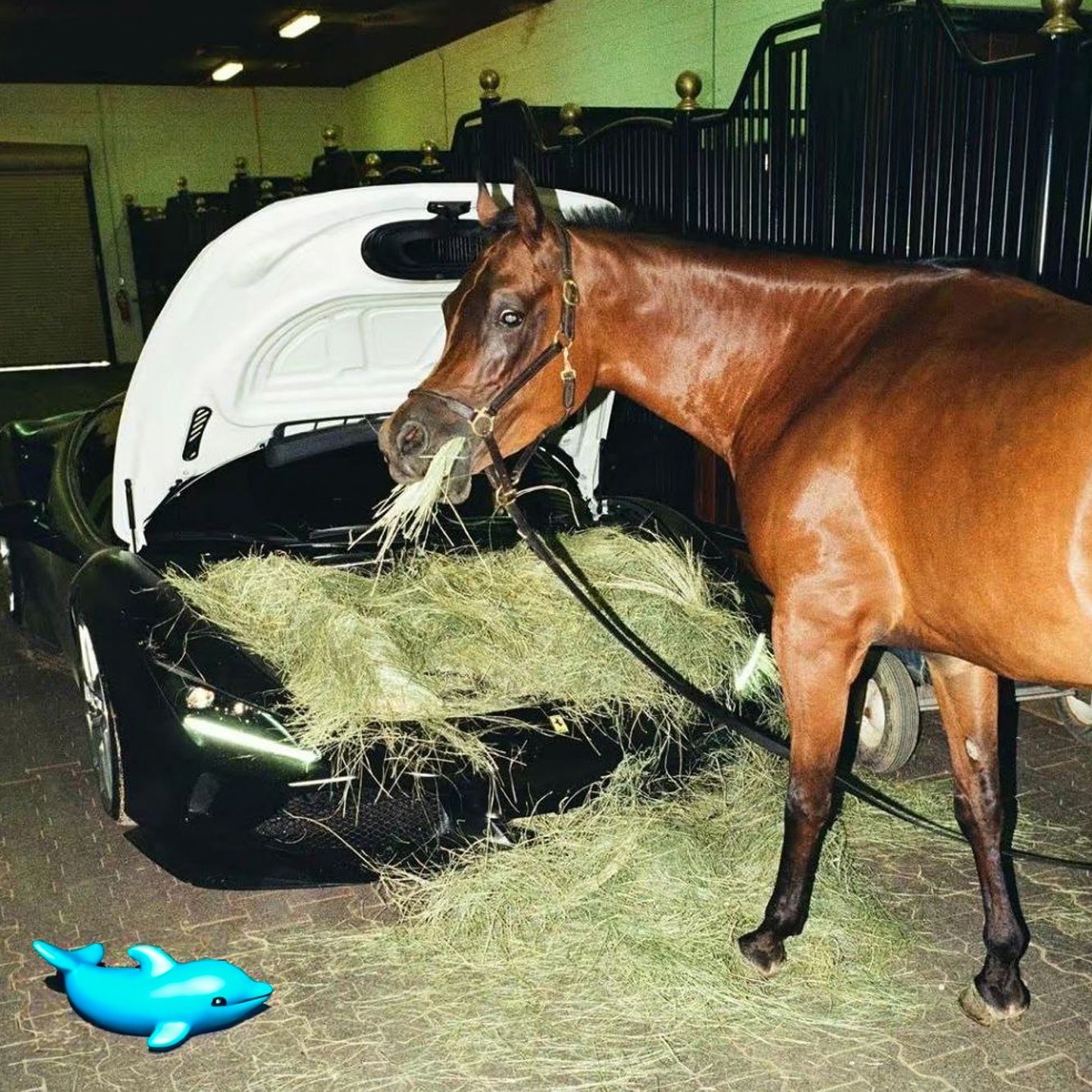 Je wilt natuurlijk het beste voor je paard, dus ook een mooie voerbak