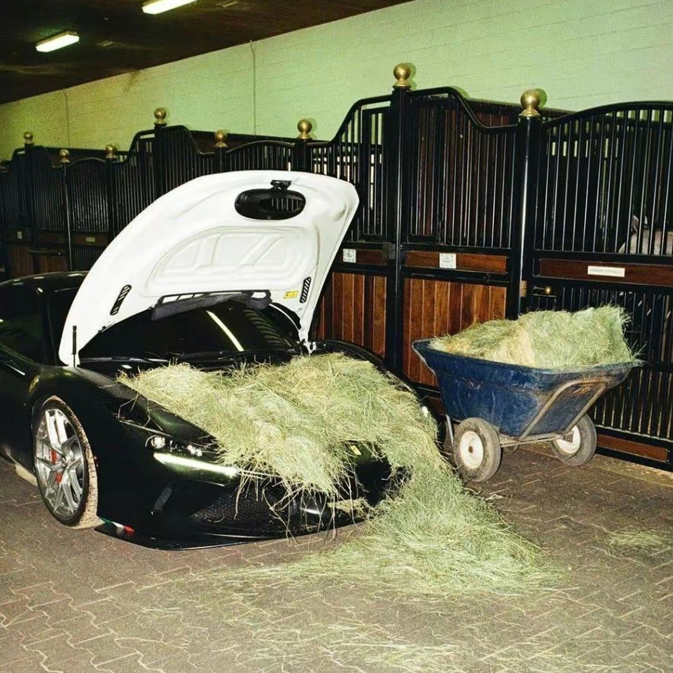 Je wilt natuurlijk het beste voor je paard, dus ook een mooie voerbak