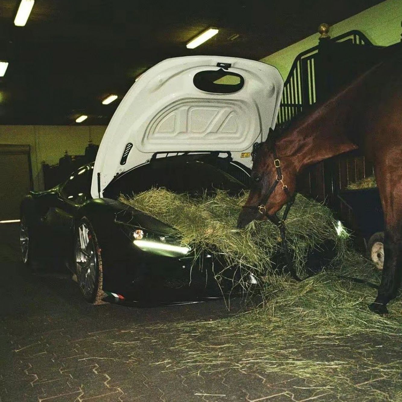 Je wilt natuurlijk het beste voor je paard, dus ook een mooie voerbak