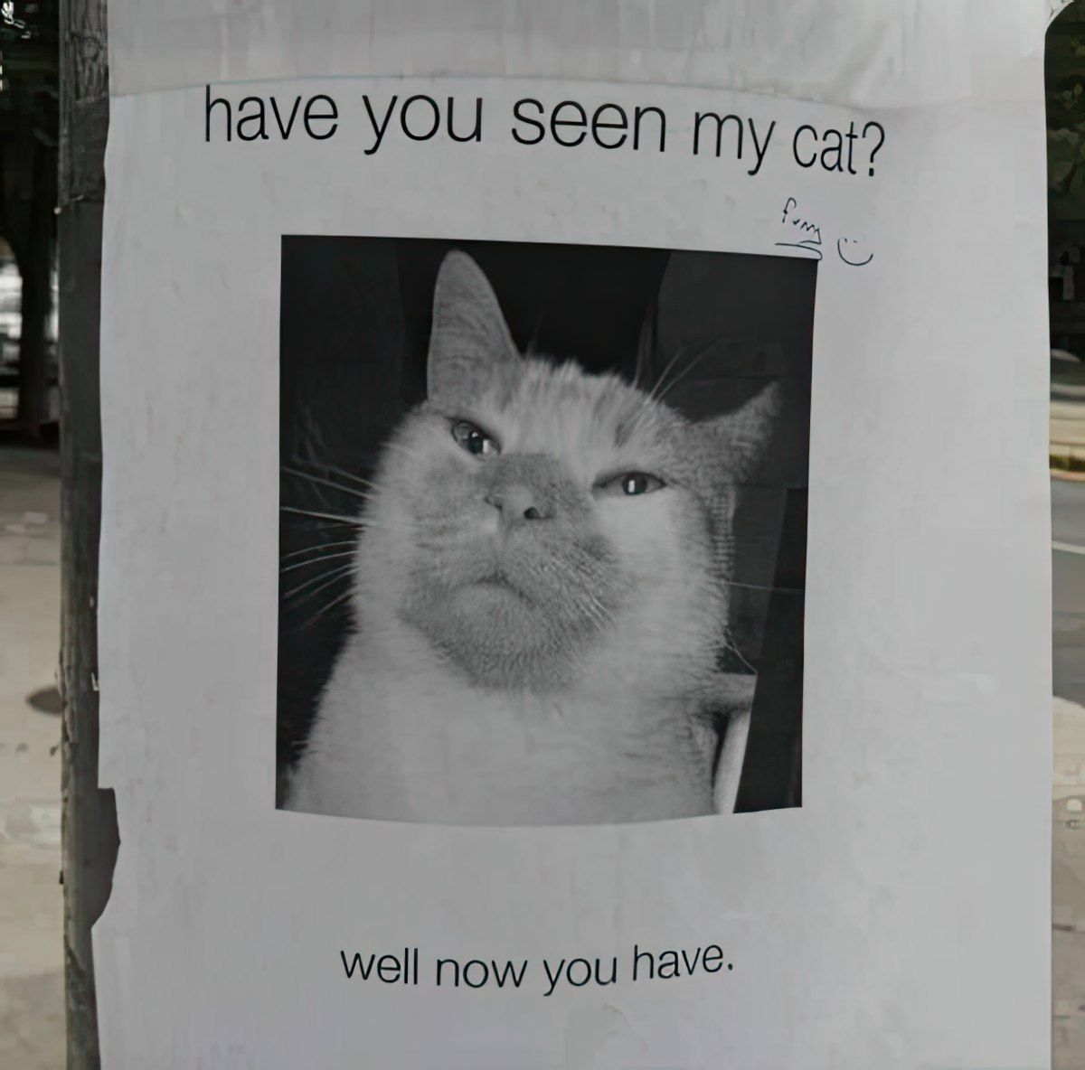 Gewoon een verzameling hilarische foto's #1789