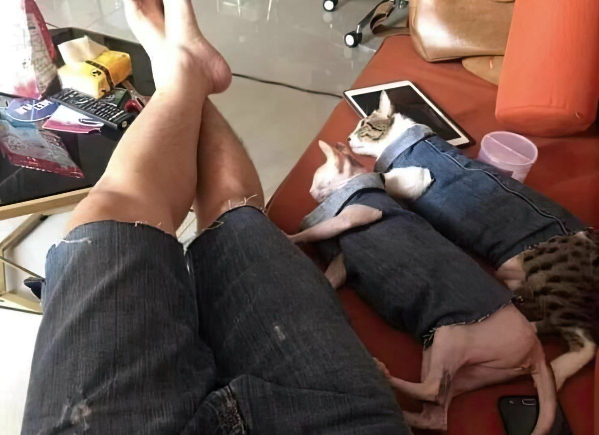 Gewoon een verzameling hilarische foto's #1789