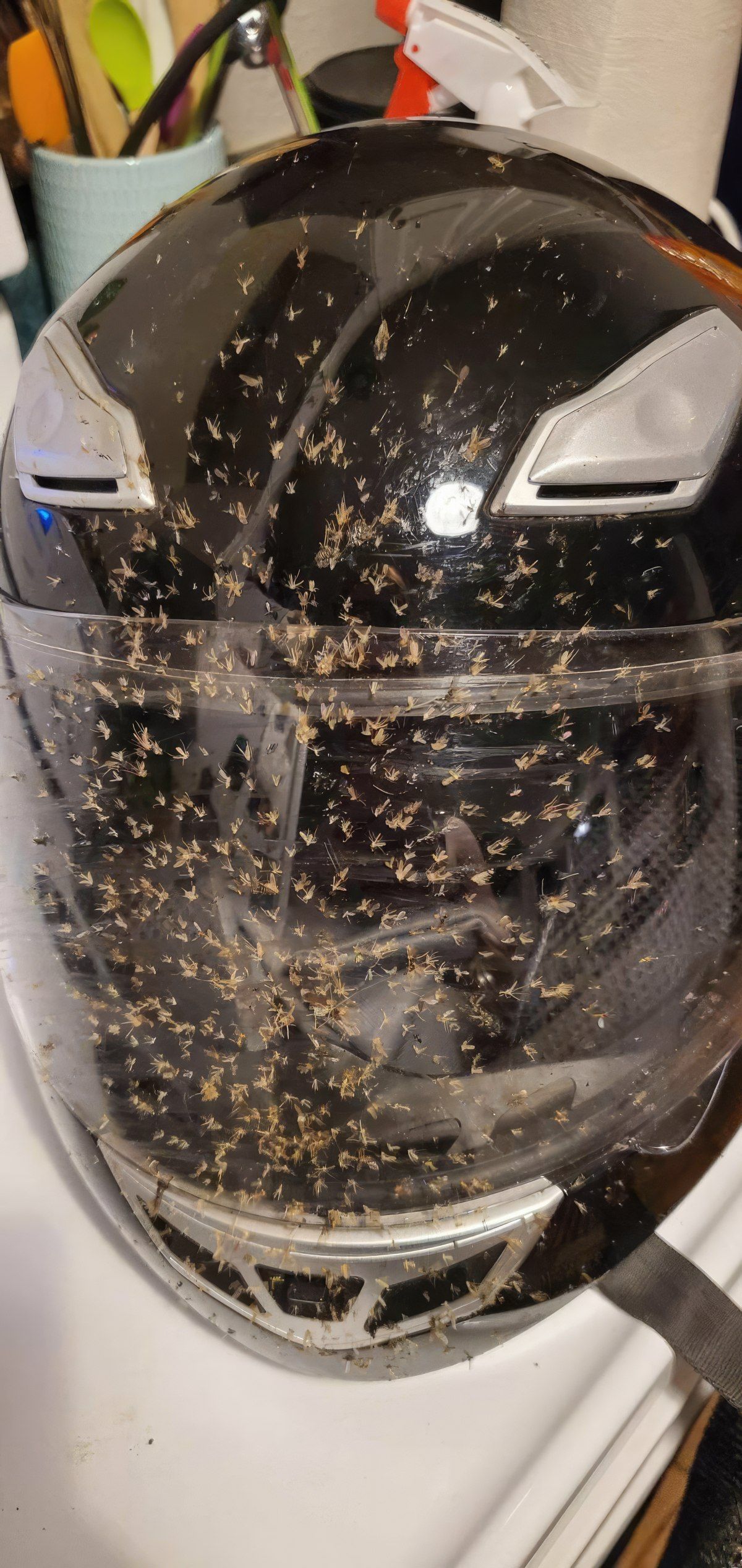 Gewoon een verzameling hilarische foto's #1789