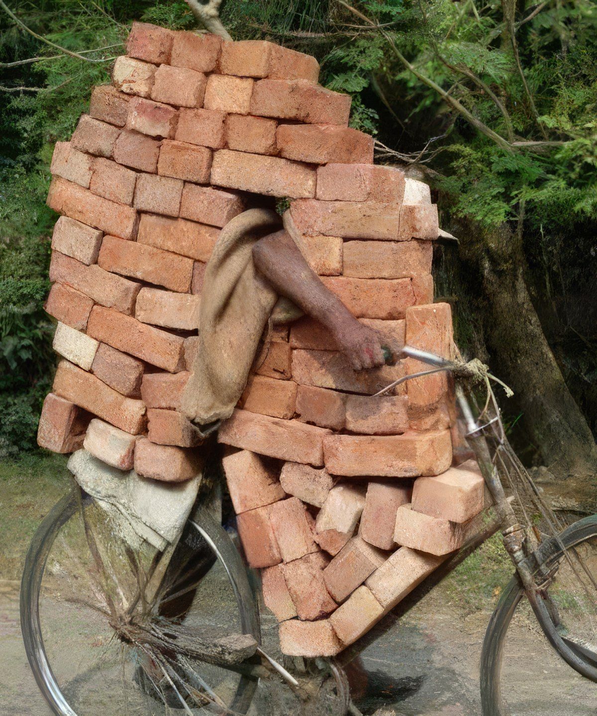 Gewoon een verzameling hilarische foto's #1789