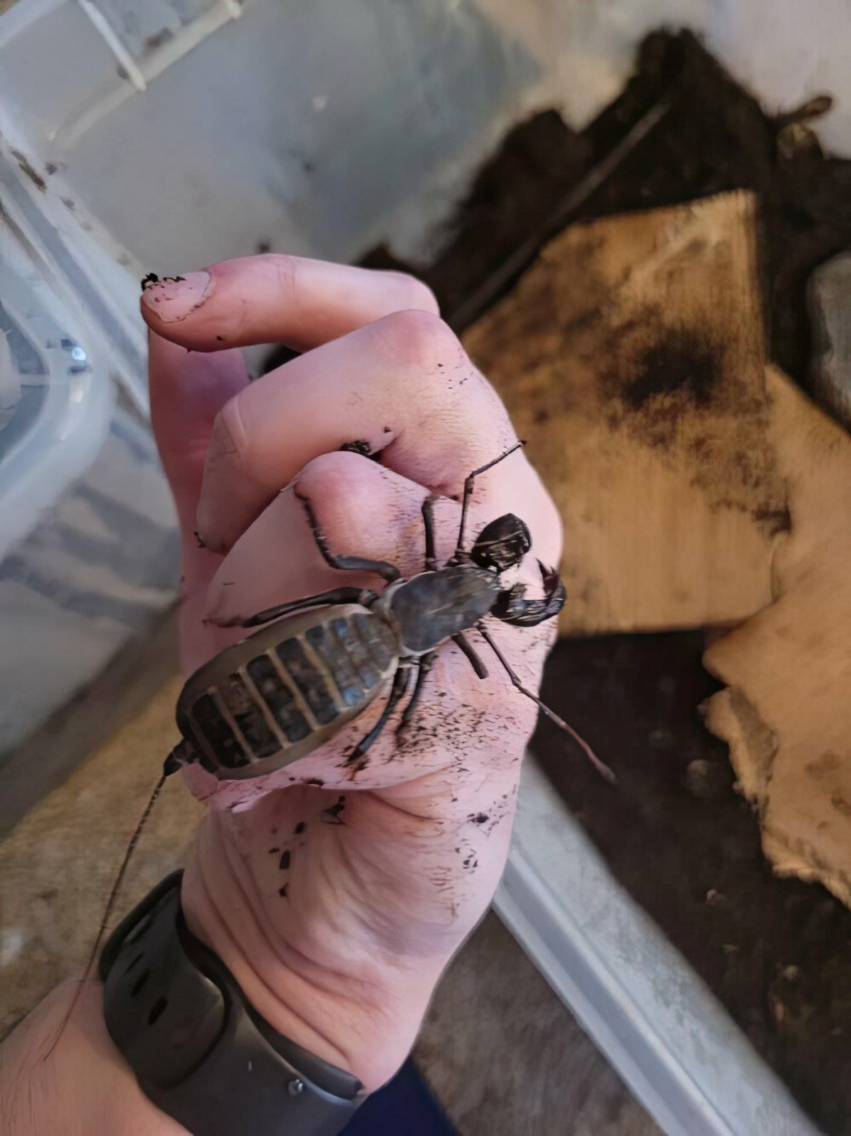 Gewoon een verzameling hilarische foto's #1789