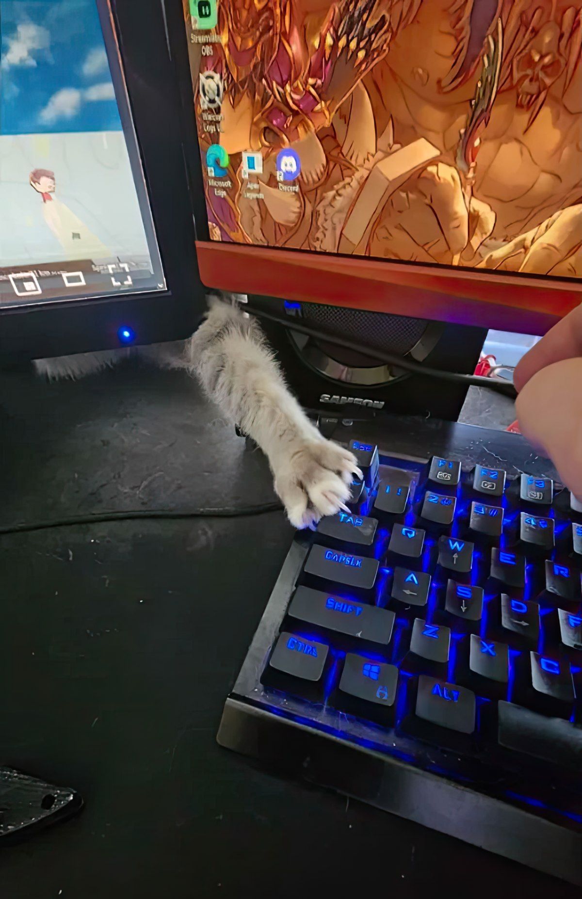 Gewoon een verzameling hilarische foto's #1789