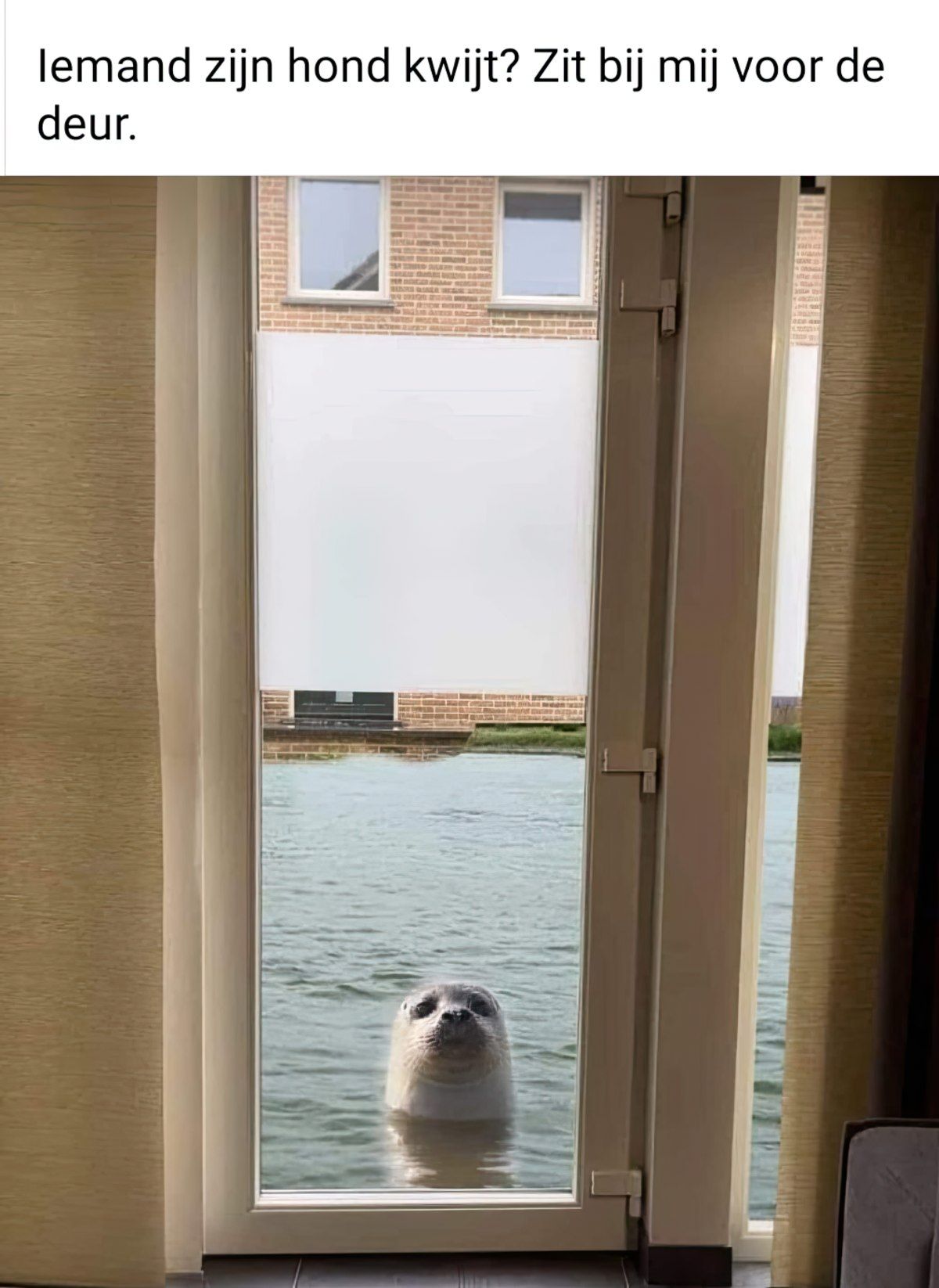 Gewoon een verzameling hilarische foto's #1789