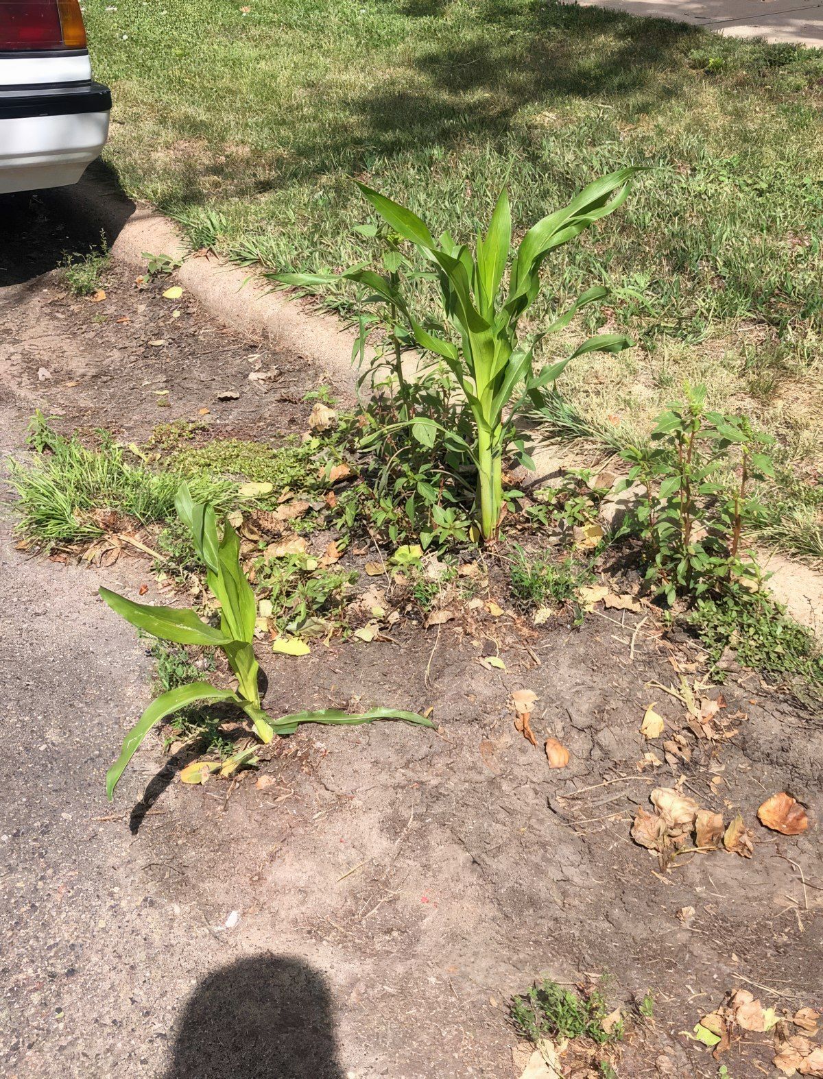 Gewoon een verzameling hilarische foto's #1791