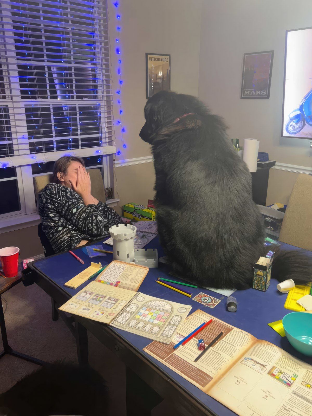 Gewoon een verzameling hilarische foto's #1791