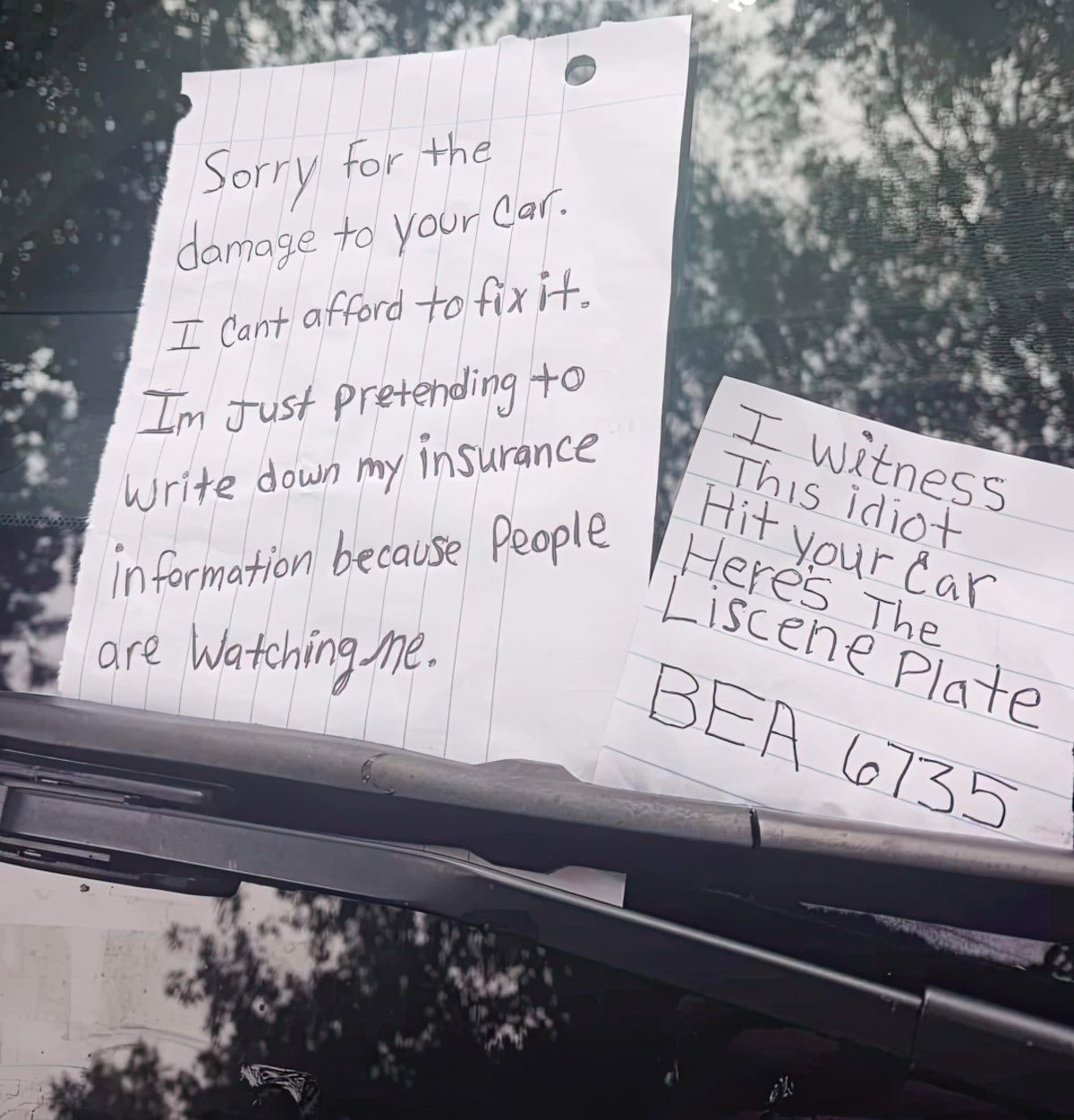 Gewoon een verzameling hilarische foto's #1791