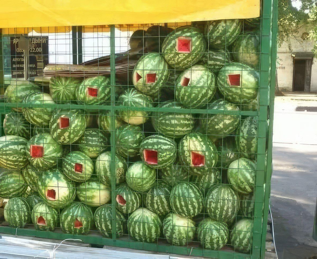 Gewoon een verzameling hilarische foto's #1791