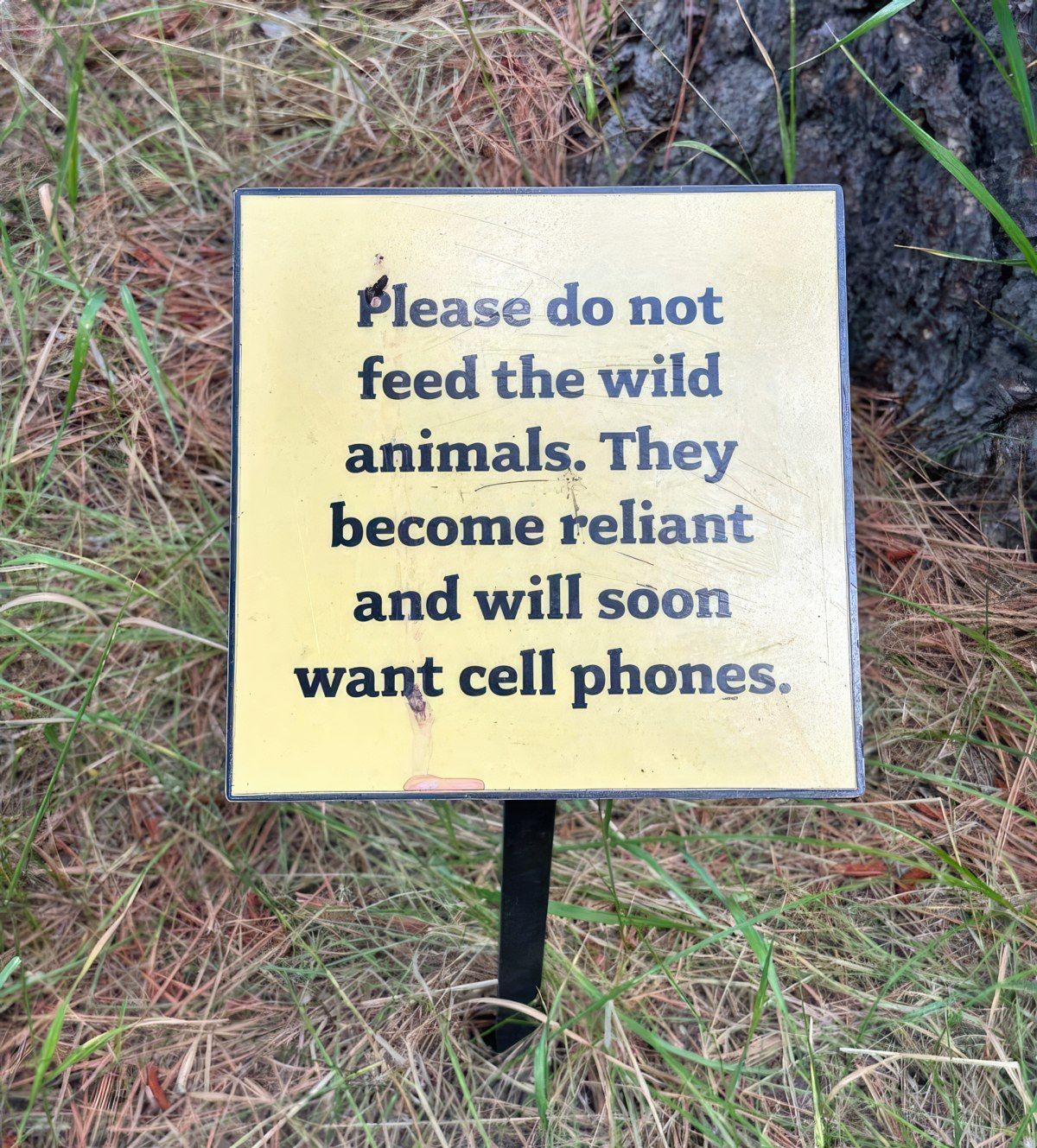 Gewoon een verzameling hilarische foto's #1791