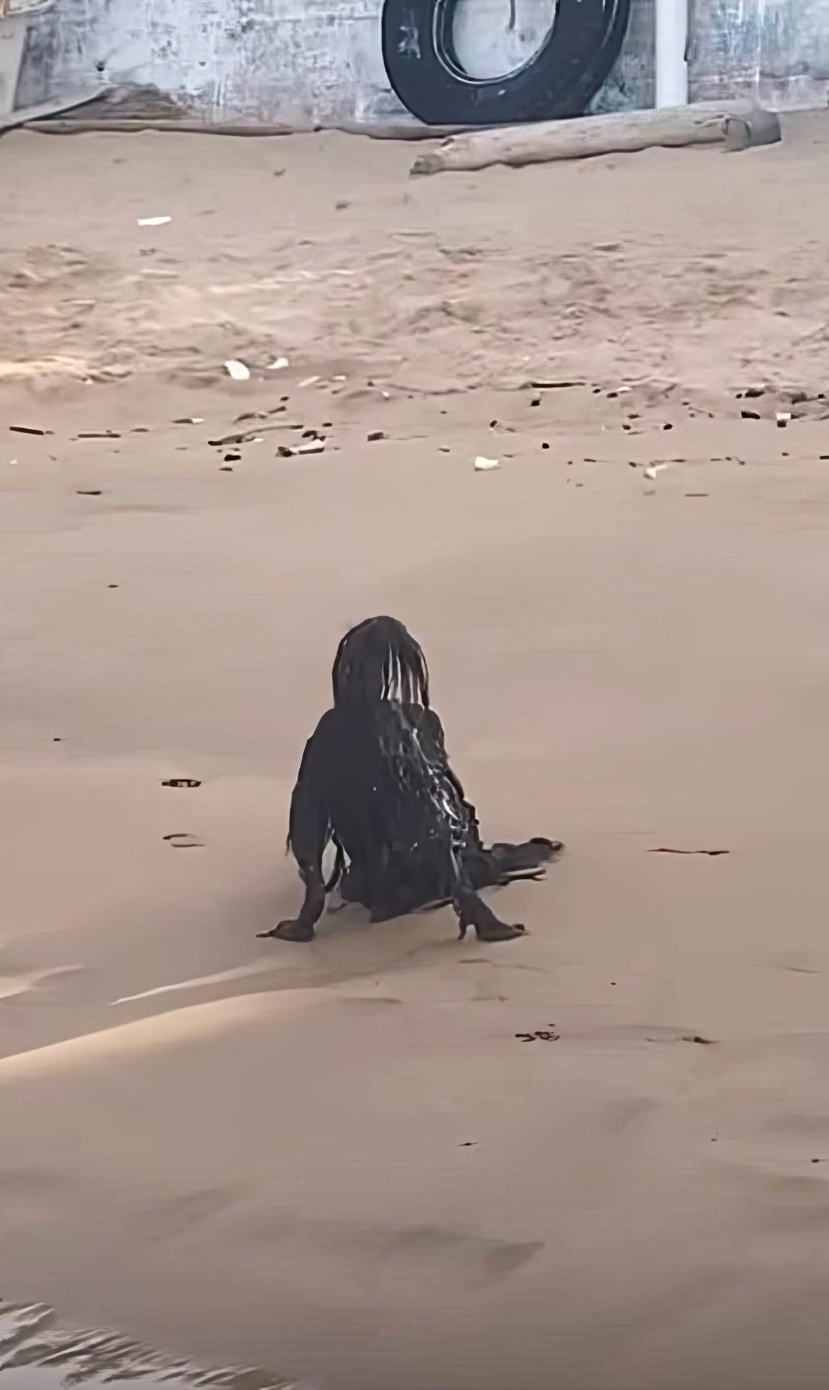 Gewoon een verzameling hilarische foto's #1791