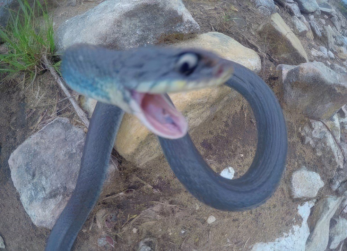 Gewoon een verzameling hilarische foto's #1794