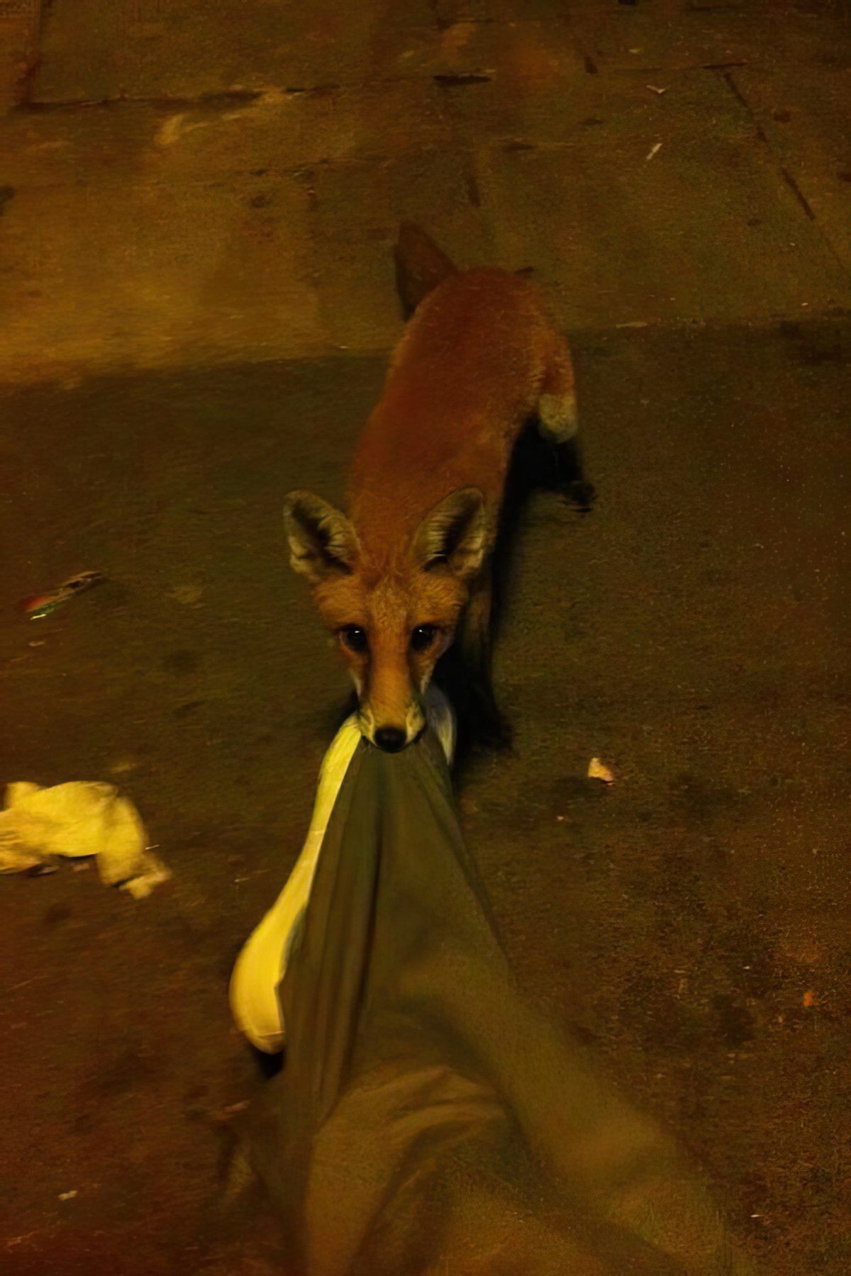 Gewoon een verzameling hilarische foto's #1794