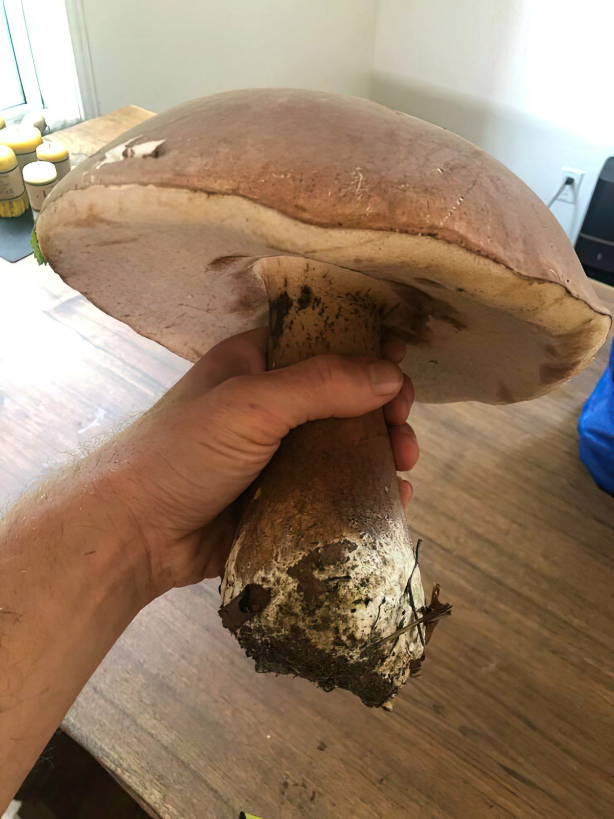 Gewoon een verzameling hilarische foto's #1794