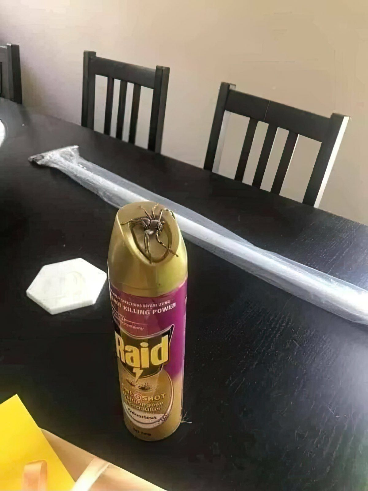 Gewoon een verzameling hilarische foto's #1794