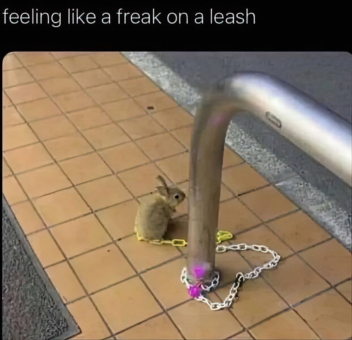 Gewoon een verzameling hilarische foto's #1794