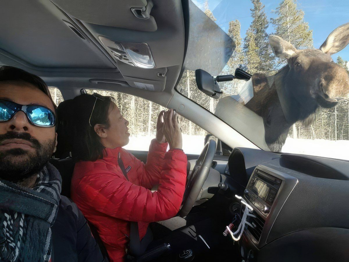 Gewoon een verzameling hilarische foto's #1794