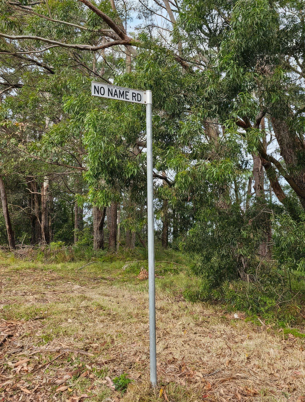 Gewoon een verzameling hilarische foto's #1794