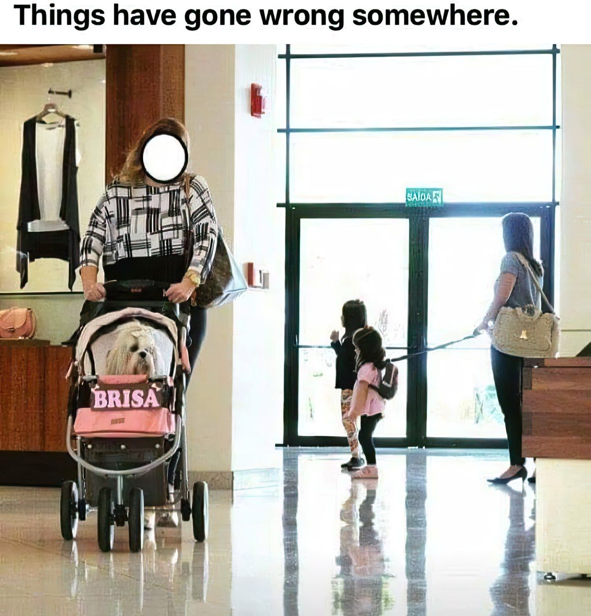 Gewoon een verzameling hilarische foto's #1794