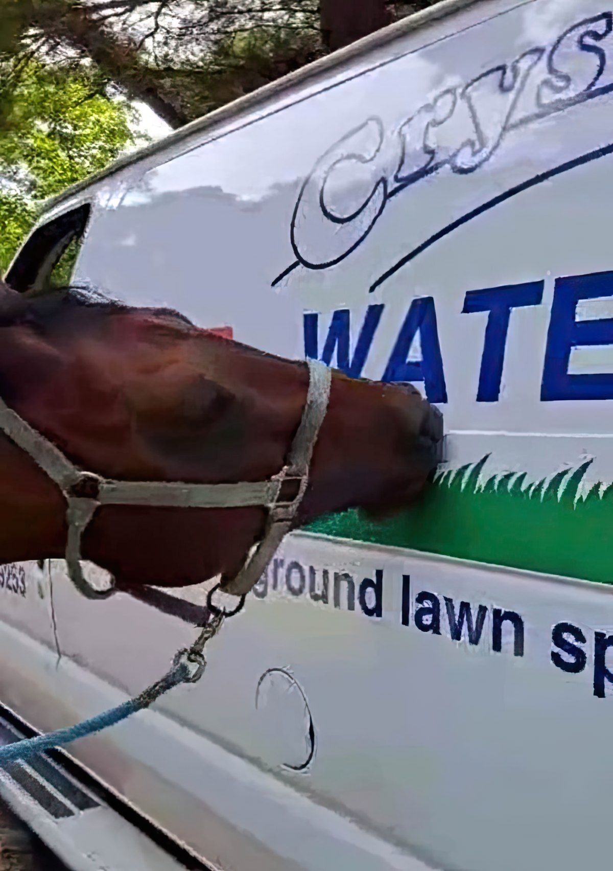 Gewoon een verzameling hilarische foto's #1794