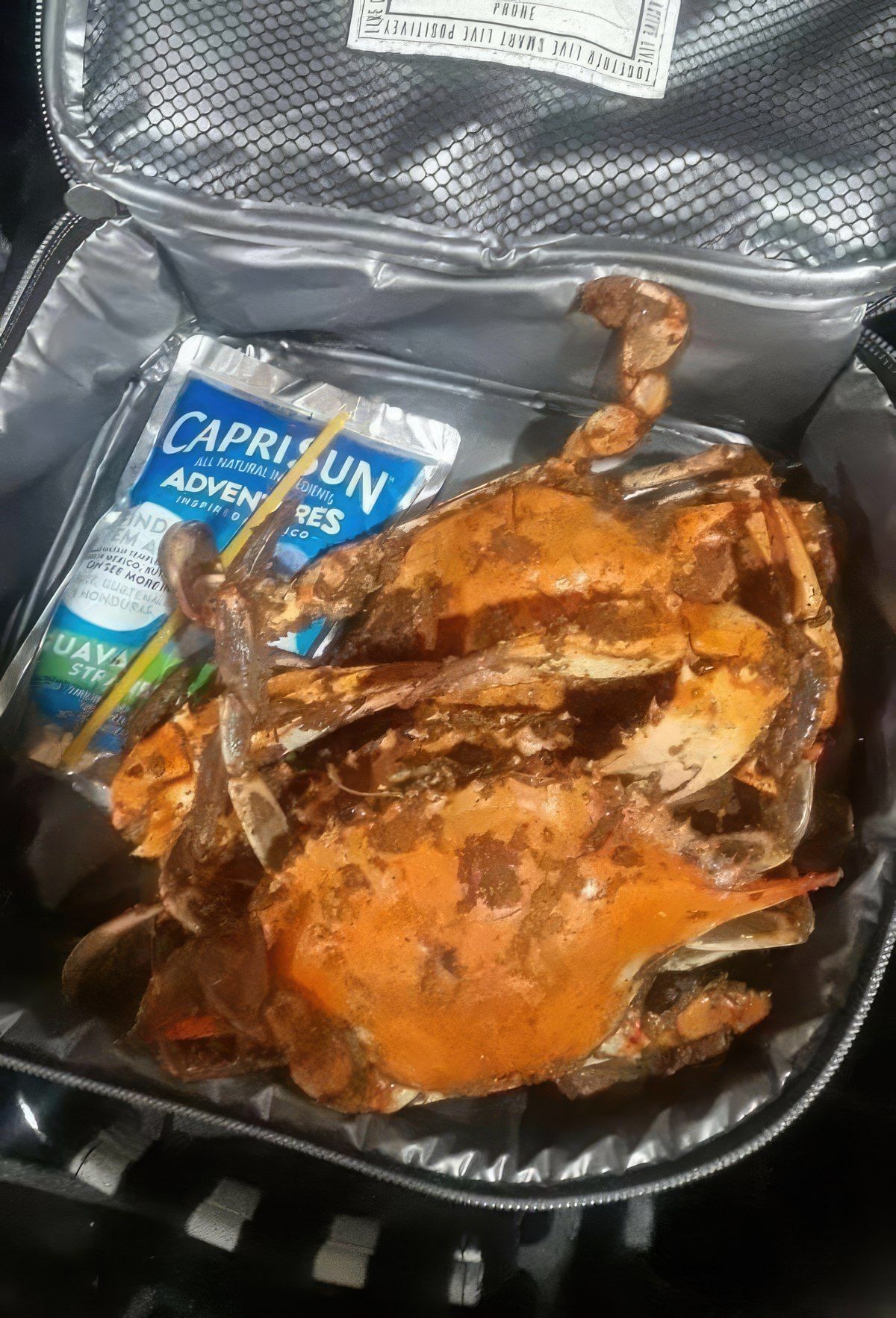 Gewoon een verzameling hilarische foto's #1799