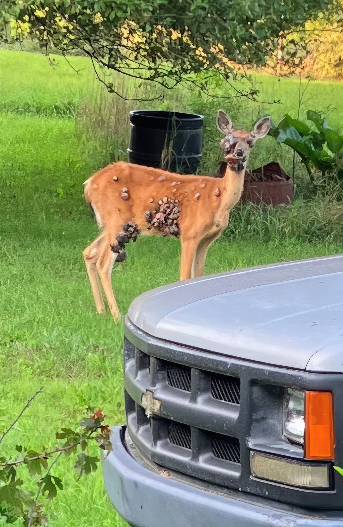 Gewoon een verzameling hilarische foto's #1799
