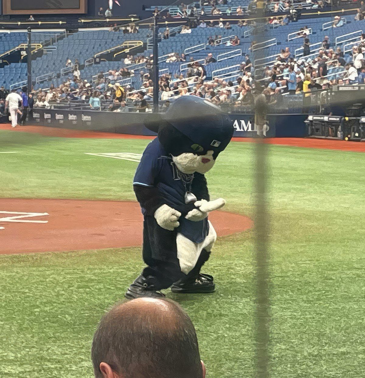 Gewoon een verzameling hilarische foto's #1799