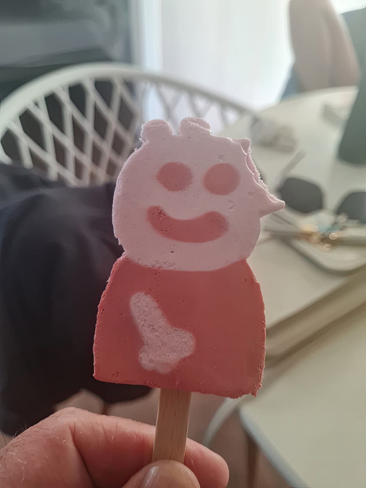 Gewoon een verzameling hilarische foto's #1799