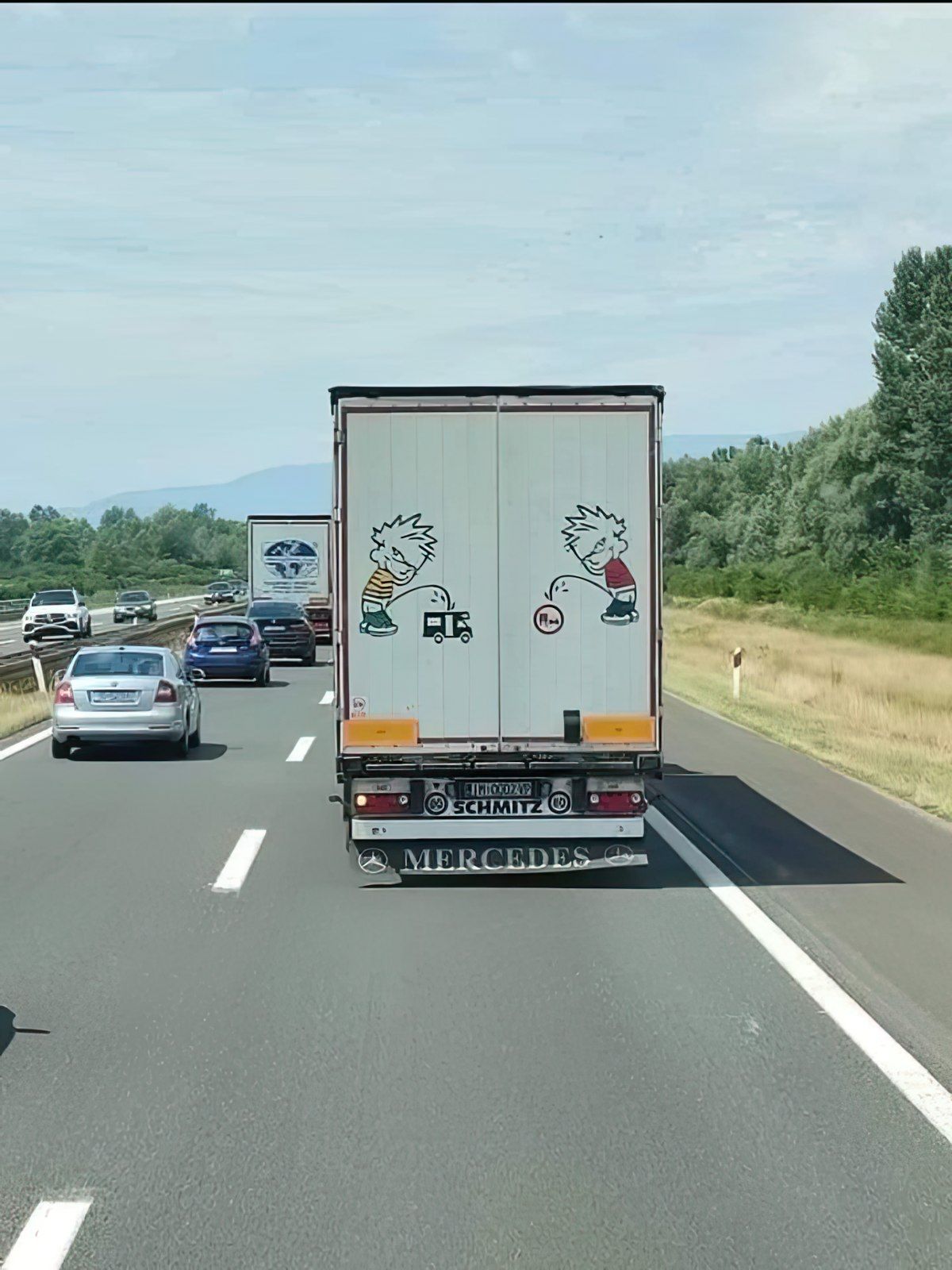 Gewoon een verzameling hilarische foto's #1799