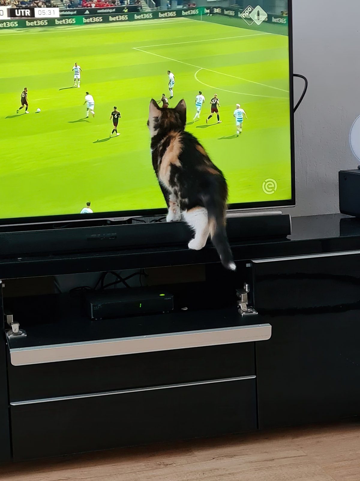 Gewoon een verzameling hilarische foto's #1799