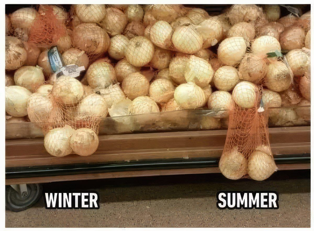 Gewoon een verzameling hilarische foto's #1799