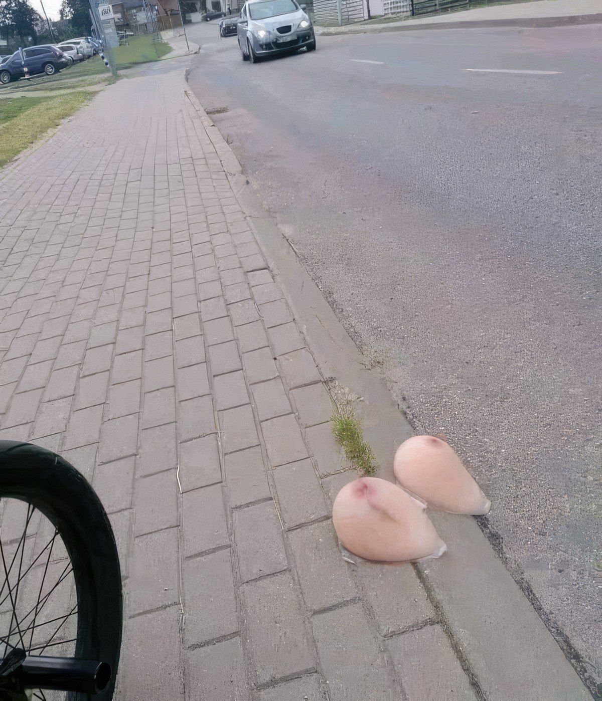 Gewoon een verzameling hilarische foto's #1799