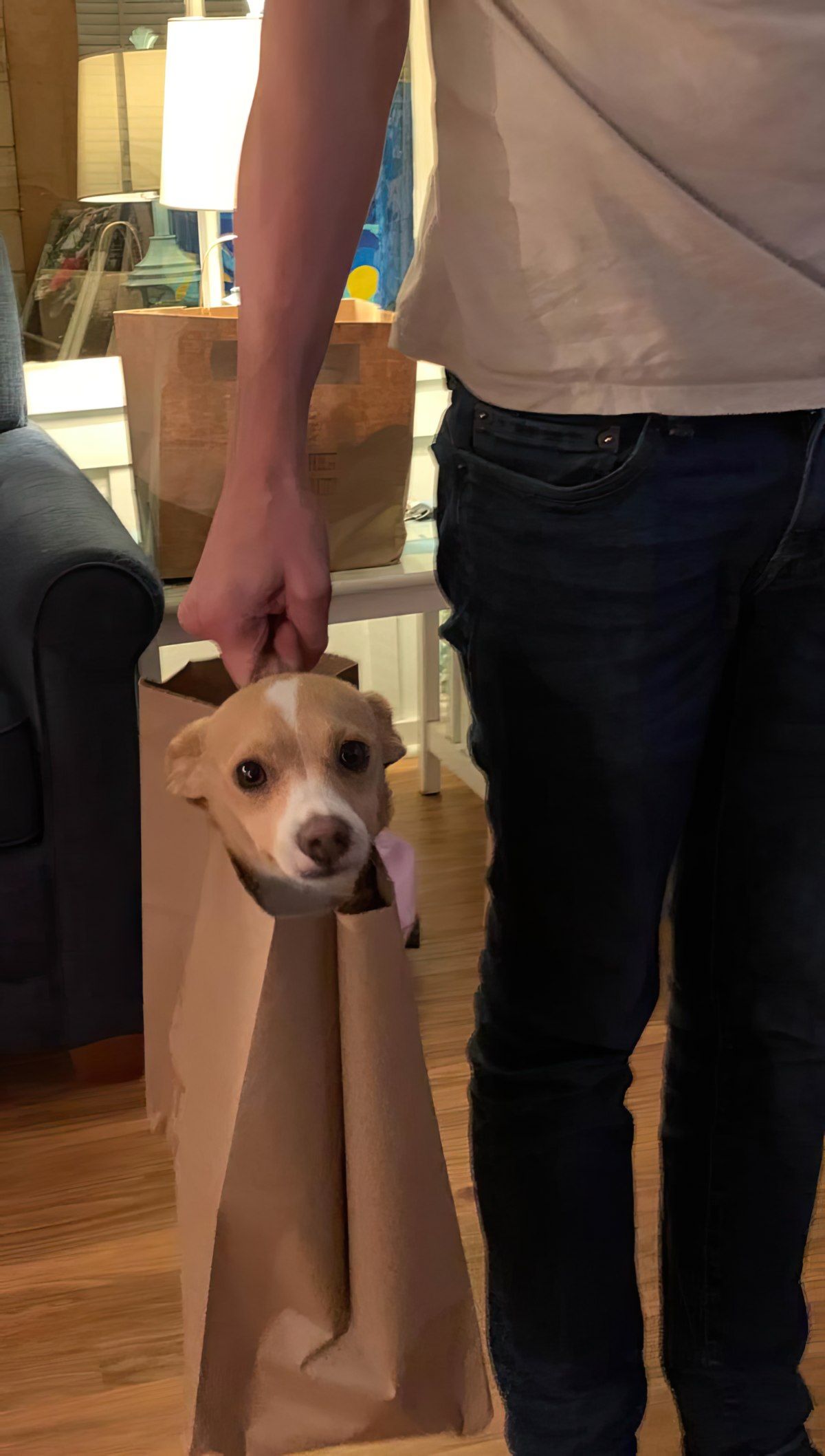 Gewoon een verzameling hilarische foto's #1799