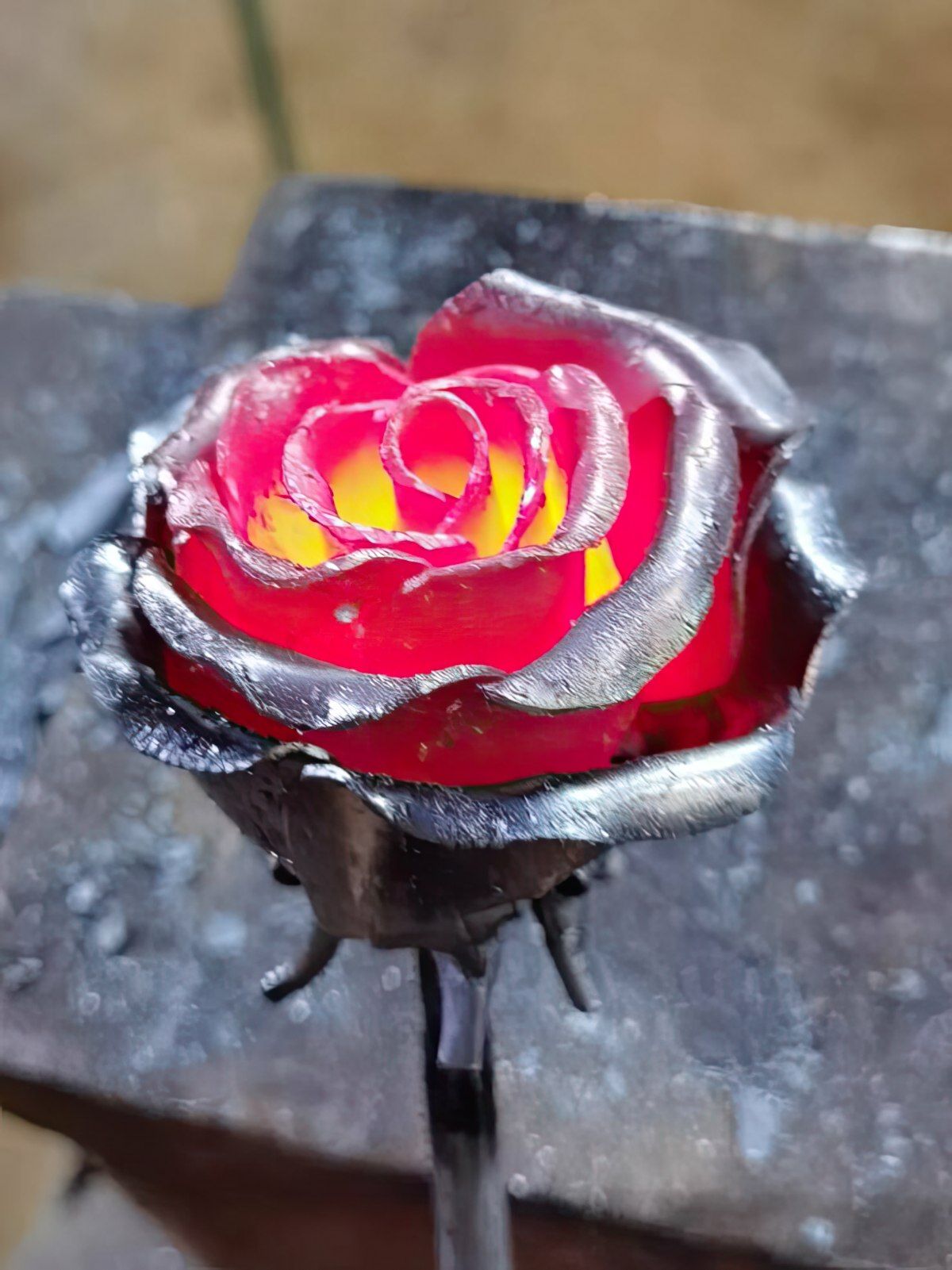 Gewoon een verzameling hilarische foto's #1800