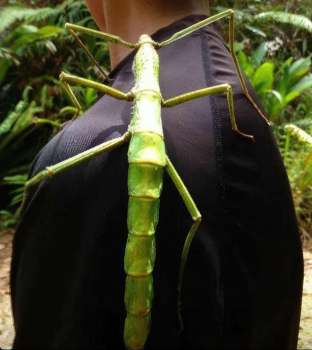 Gewoon een verzameling hilarische foto's #1800