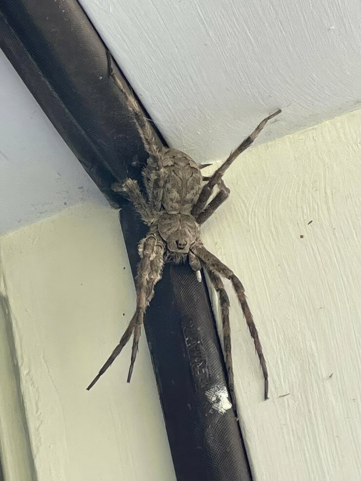 Gewoon een verzameling hilarische foto's #1800