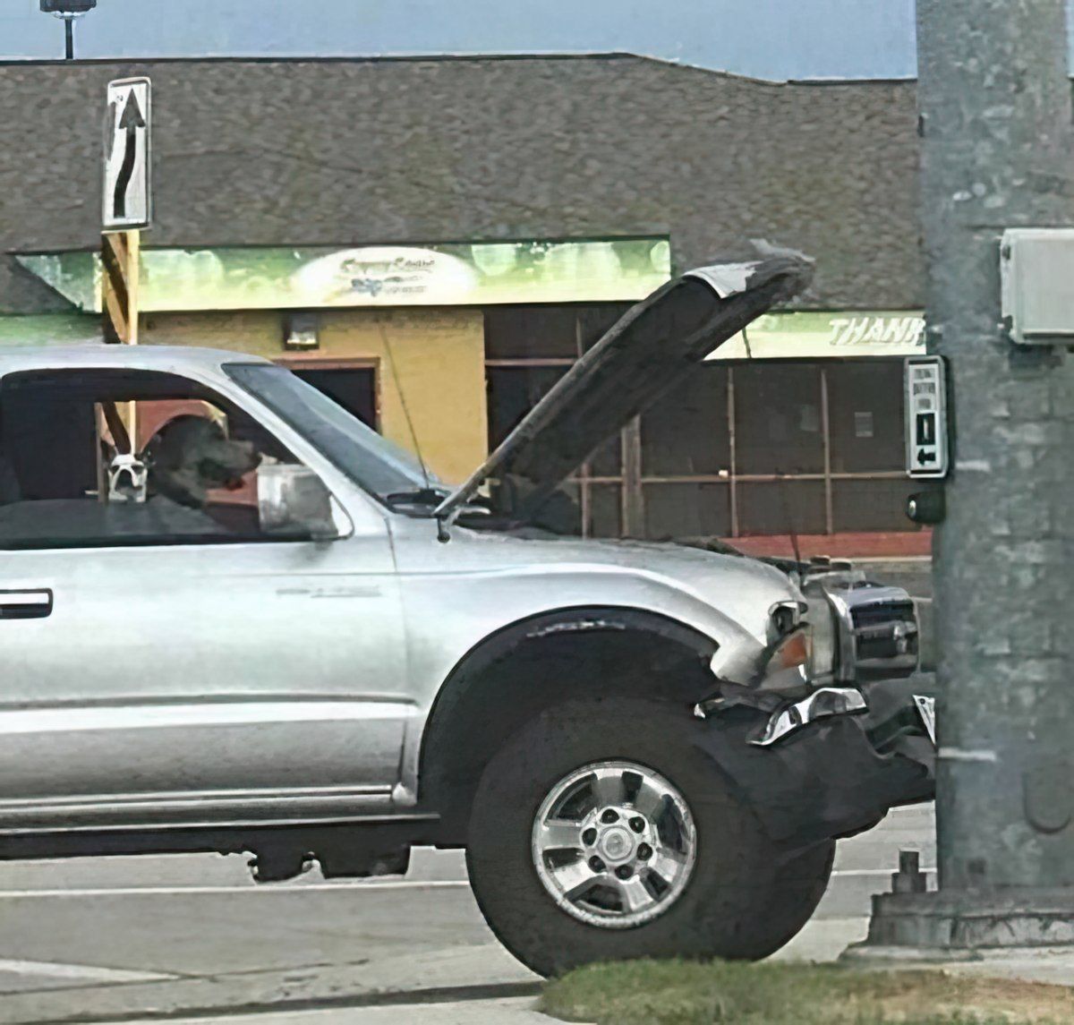 Gewoon een verzameling hilarische foto's #1800