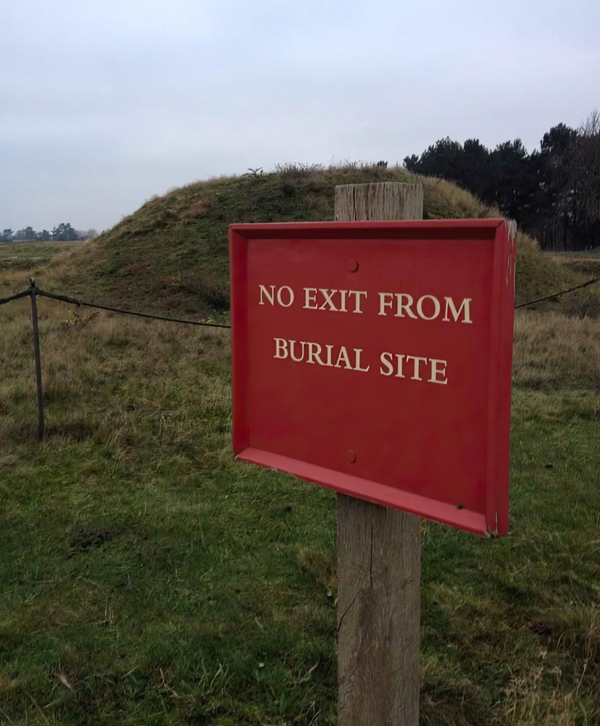 Gewoon een verzameling hilarische foto's #1800