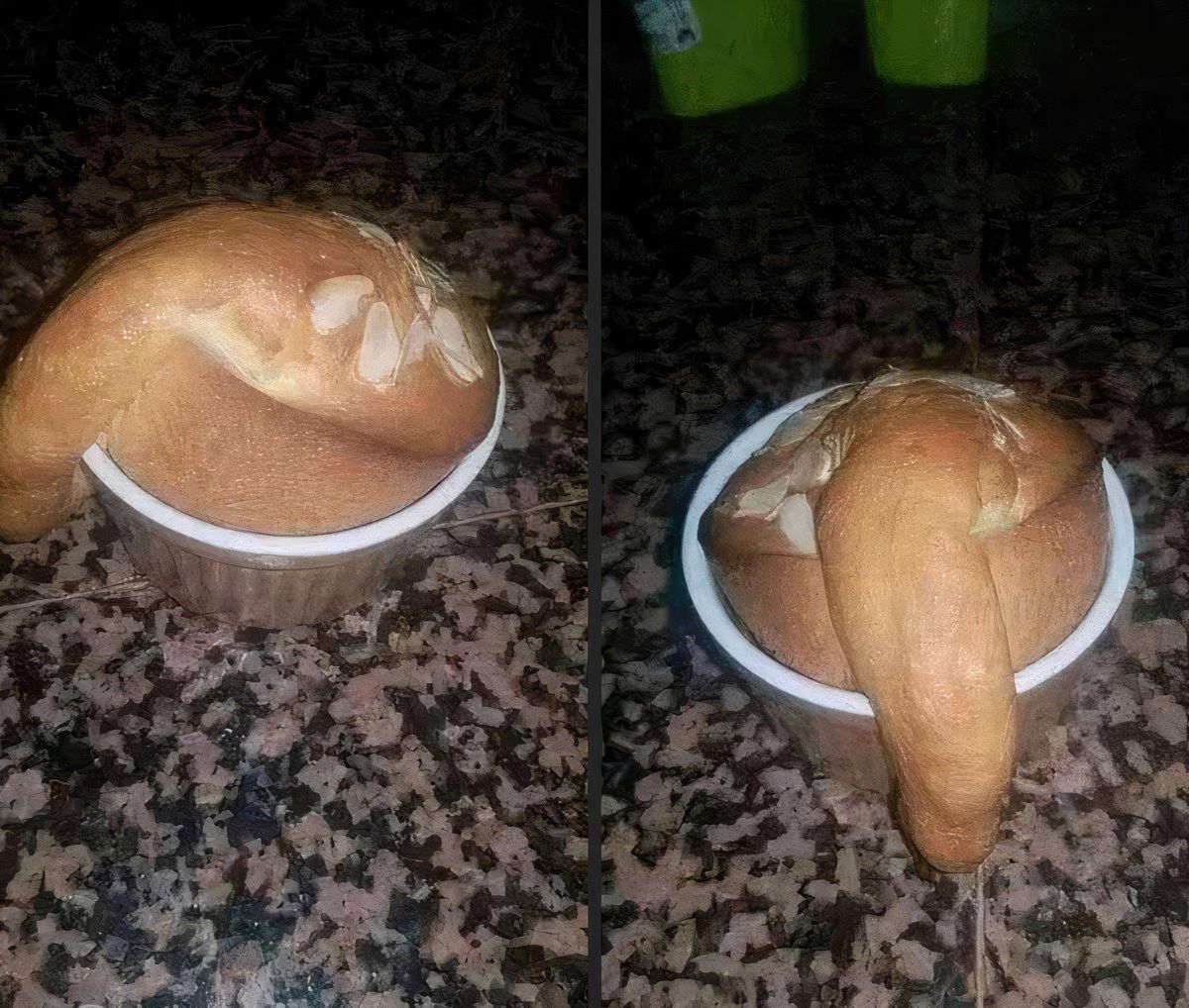 Gewoon een verzameling hilarische foto's #1800