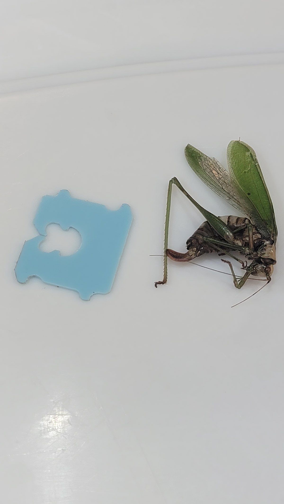 Gewoon een verzameling hilarische foto's #1800